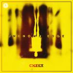 Cover: Cyber - Unknown Edge