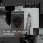 Cover: Da Hool - Heartbleed