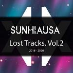 Cover: Sunhiausa - Danger Is Lurking