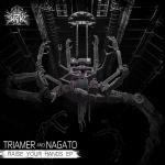 Cover: Triamer &amp;amp;amp;amp;amp;amp;amp;amp;amp;amp;amp;amp; Nagato - Your Soul