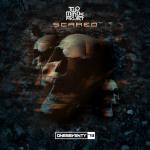 Cover: Two Minds Project - Scared