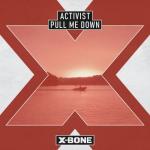 Cover: Activist - Pull Me Down