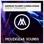 Cover: Andreas Tillnert - Perfect Strangers