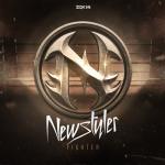 Cover: Newstyler - Fighter