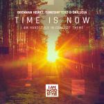 Cover: Brennan Heart & Toneshifterz & Dailucia - Time Is Now (I Am Hardstyle In Concert Theme)