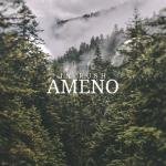 Cover: In-Rush - Ameno