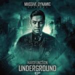 Cover: Hardfunction - Underground