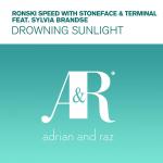 Cover: Sylvia Brandse - Drowning Sunlight
