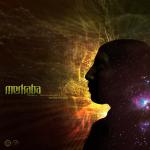 Cover: Merkaba - Integration