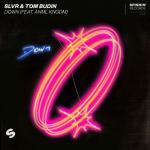 Cover: Tom Budin - Down