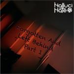 Cover: Hallucihate - Danger Close