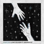 Cover: Cash Cash - Love You Now