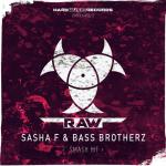 Cover: Sasha F - Smash Hit