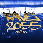Cover: Akira - Rave 2055