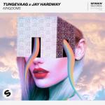 Cover: Jay Hardway - Kingdoms