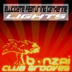 Cover: Elucidate - Lights