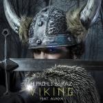 Cover: Raz - Viking