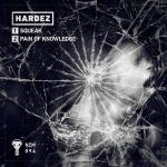 Cover: Hardez - Pain Of Knowledge