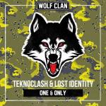 Cover: Teknoclash & Lost Identity - One & Only