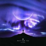 Cover: Dj Thera - Wait For You