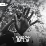 Cover: Two Minds Project - Hate Ya