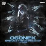 Cover: Angie - Embrace The Darkness