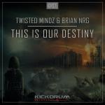 Cover: Brian NRG - This Is Our Destiny