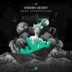 Cover: Hidden Secret - In The Dark