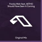 Cover: Franky Wah feat. AETHO - Should Have Seen It Coming