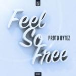Cover: Proto Bytez - Feel So Free