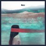 Cover: BAQ &amp;amp;amp; Cranky - Seize The Day