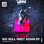 Cover: Toneshifterz - We Will Meet Again