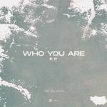 Cover: Tim van Werd - Believe