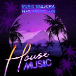 Cover: Boris Brejcha feat. Arctic Lake - House Music