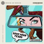 Cover: Dino Warriors - Save Your Tears