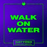 Cover: Kat - Walk On Water