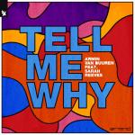 Cover: Armin Van Buuren - Tell Me Why