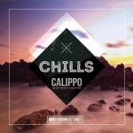 Cover: Calippo - Never Really Liked You