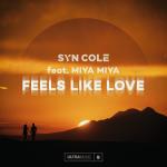 Cover: Syn Cole feat. MIYA MIYA - Feels Like Love
