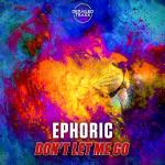 Cover: Ephoric - Don't Let Me Go