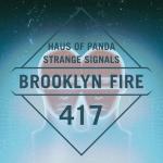 Cover: Haus Of Panda - Strange Signal