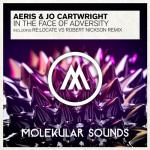 Cover: Aeris & Jo Cartwright - In The Face Of Adversity