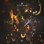 Cover: Gorebug - The Faith