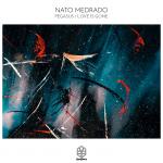 Cover: Nato Medrado - Love Is Gone