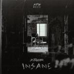 Cover: X-Pander - Insane