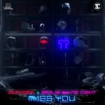 Cover: Slander - Miss You