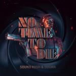 Cover: Sound Rush - No Time To Die