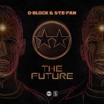 Cover: S-te-Fan - The Future
