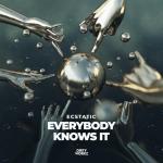 Cover: Ecstatic - Everybody Knows It