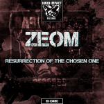 Cover: Zeom - Treasure